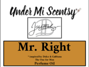 Mr. Right Perfume Oil (M)- Inspired by The One for Men